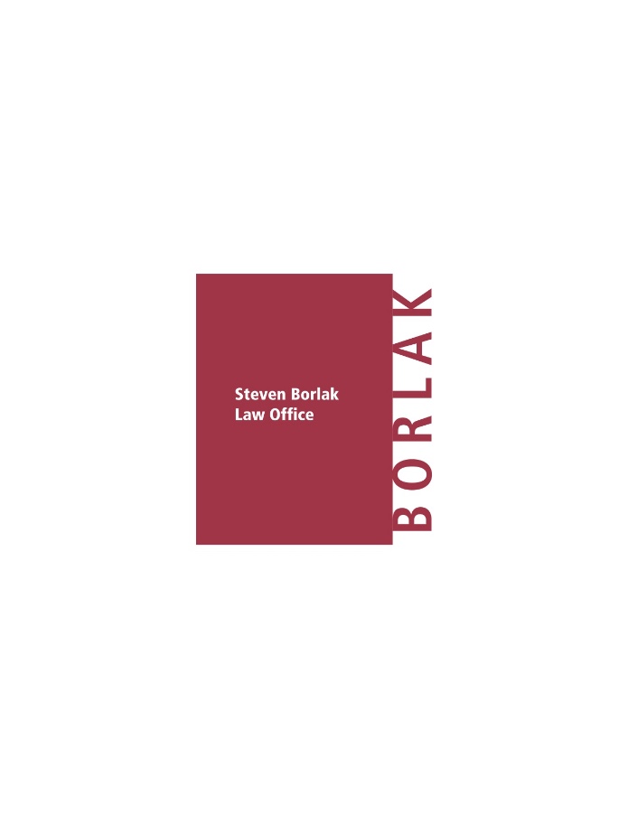 Steven Borlak - Business Lawyer